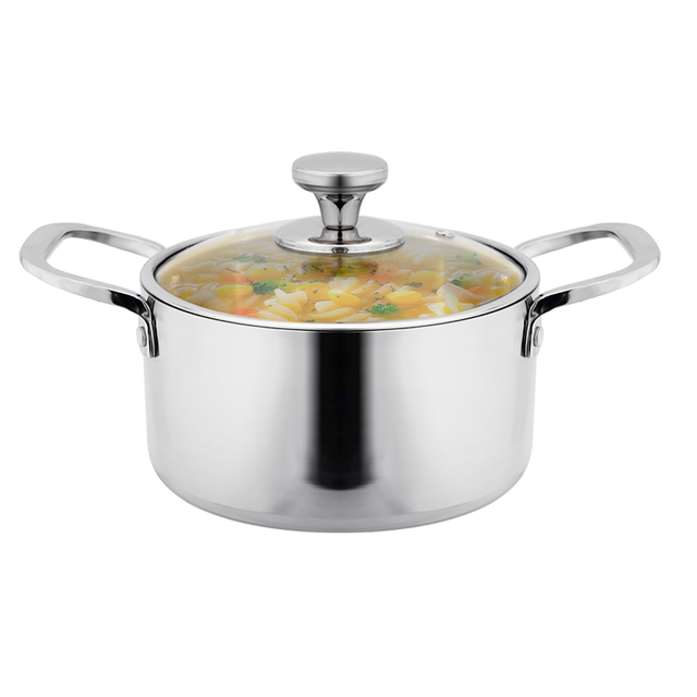 DaoSheng Tri-Ply Stainless Steel Glass Lid Stock Pot